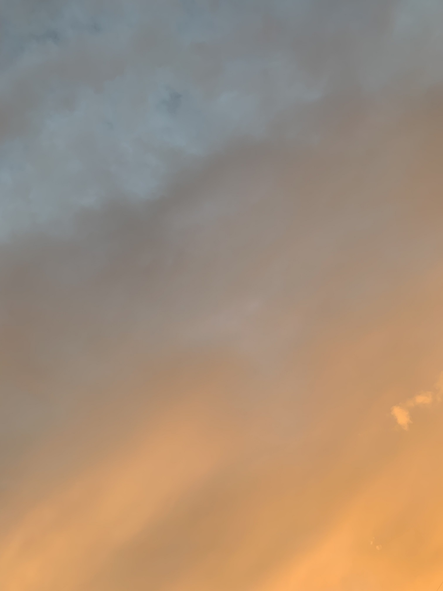 夕阳