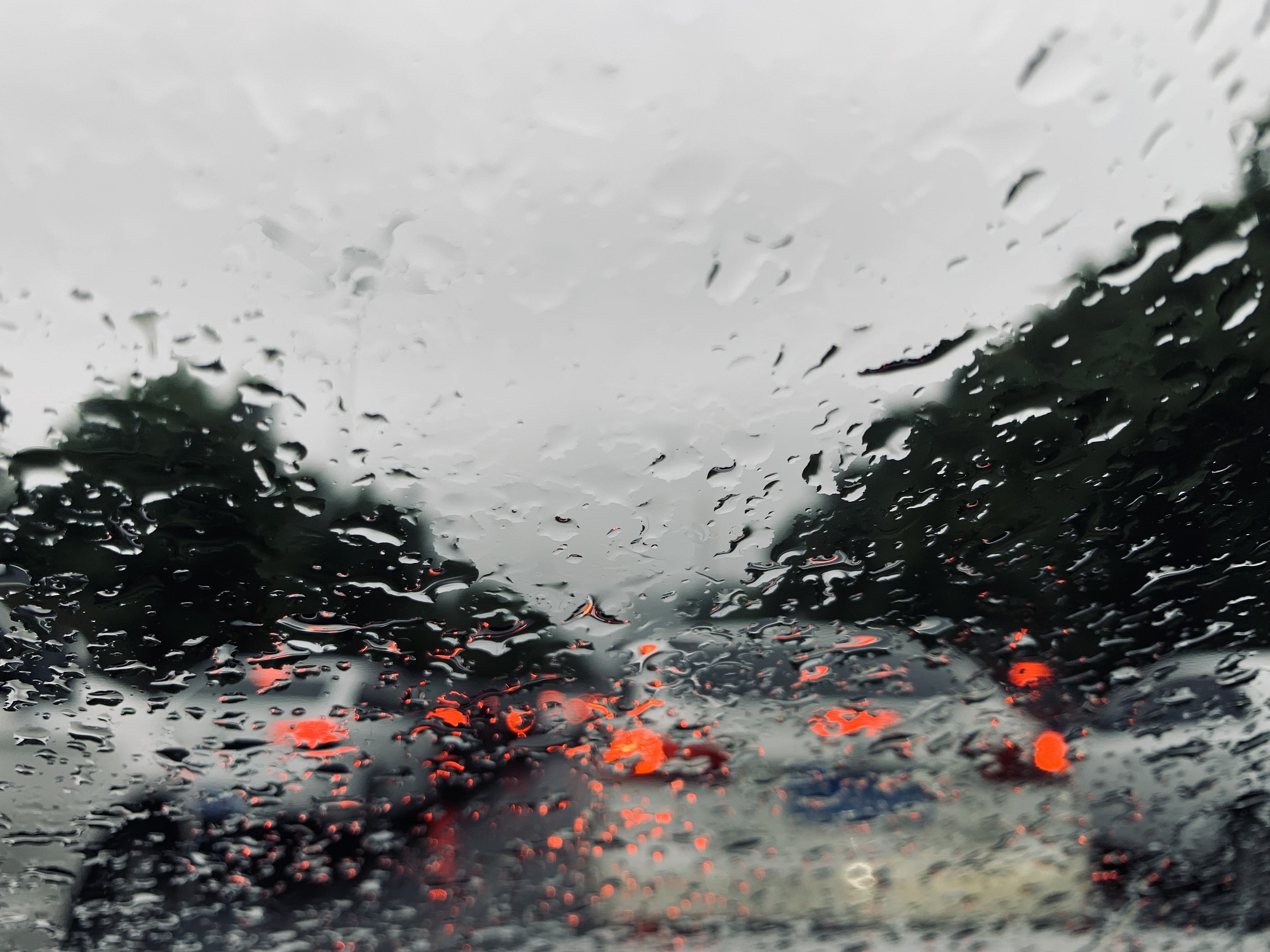 秋雨